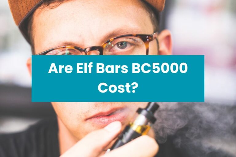 Are Elf Bars BC5000 Cost?