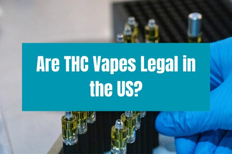 Are THC Vapes Legal in the US?