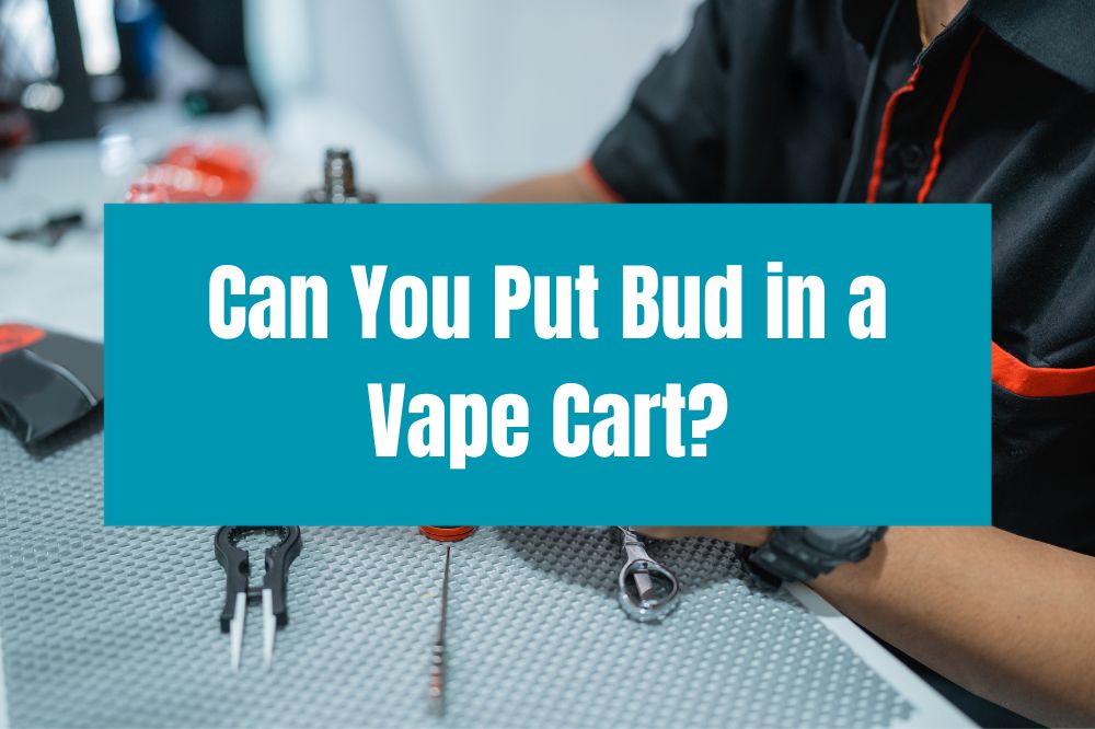 Can You Put Bud in a Vape Cart?