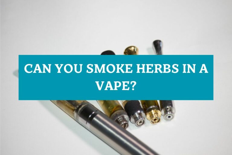 Can You Smoke Herbs in a Vape?