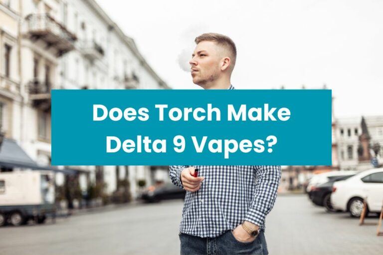 Does Torch Make Delta 9 Vapes?