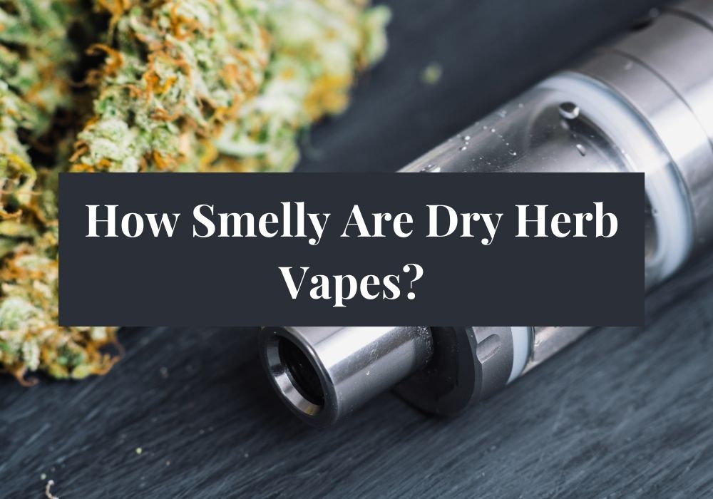 How Smelly Are Dry Herb Vapes?