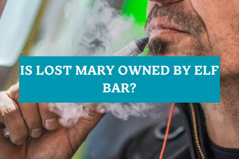 Is Lost Mary Owned by Elf Bar?