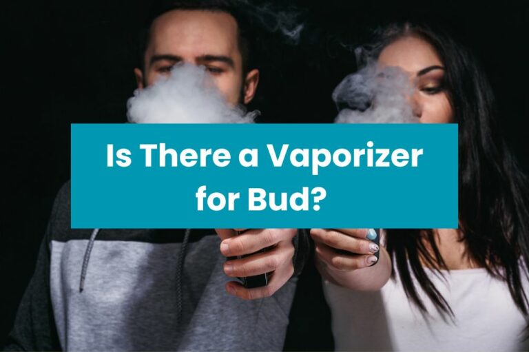 Is There a Vaporizer for Bud?