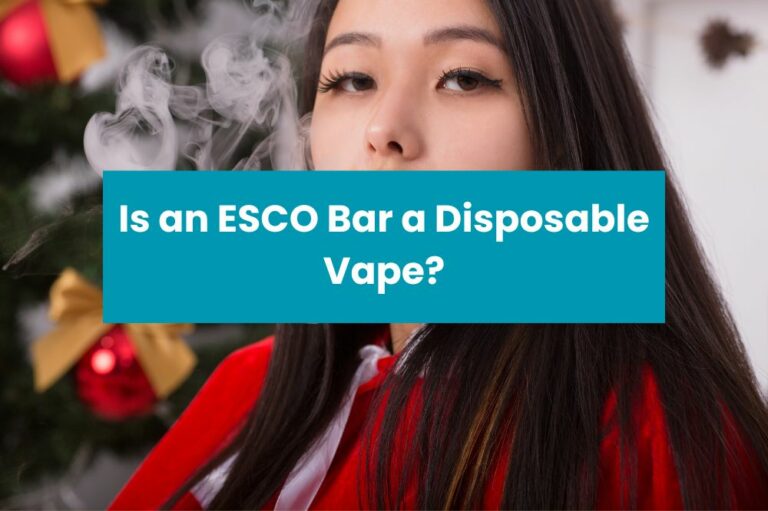 Is an ESCO Bar a Disposable Vape?
