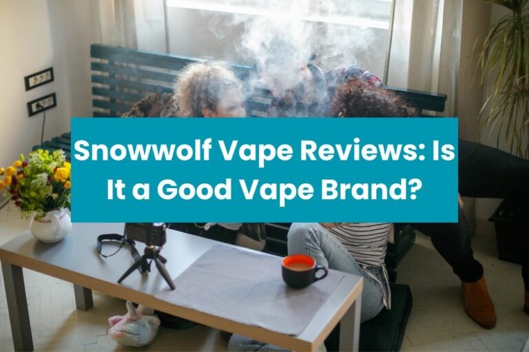 Snowwolf Vape Reviews: Is It a Good Vape Brand?