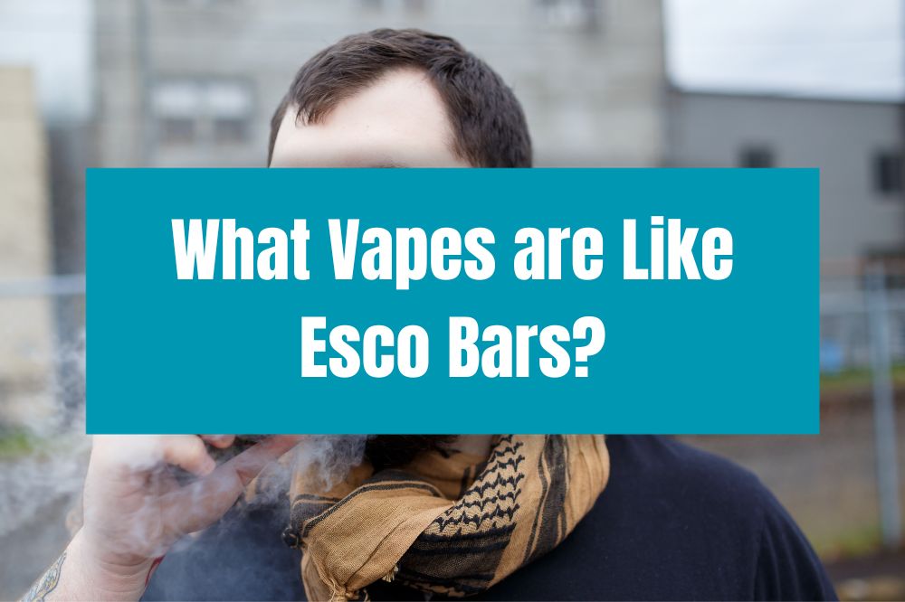 What Vapes are Like Esco Bars?