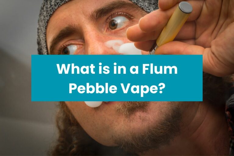 What is in a Flum Pebble Vape?
