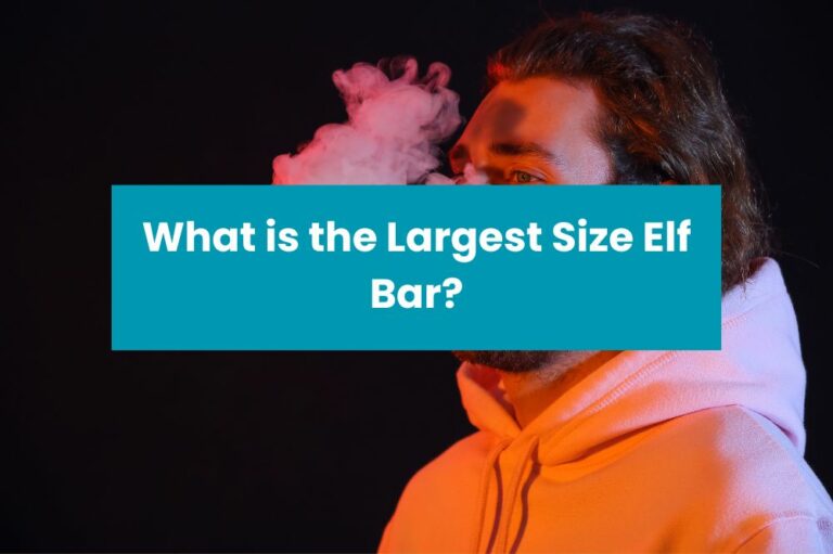 What is the Largest Size Elf Bar?