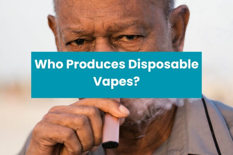 Who Produces Disposable Vapes?