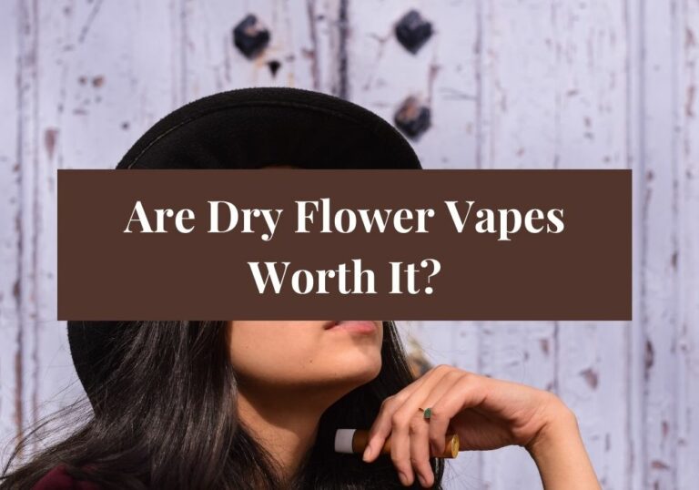 Are Dry Flower Vapes Worth It?