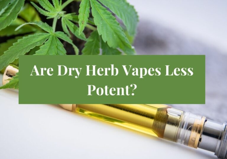 Are Dry Herb Vapes Less Potent?