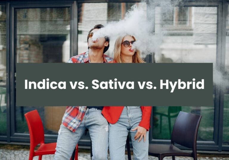 Indica vs. Sativa vs. Hybrid